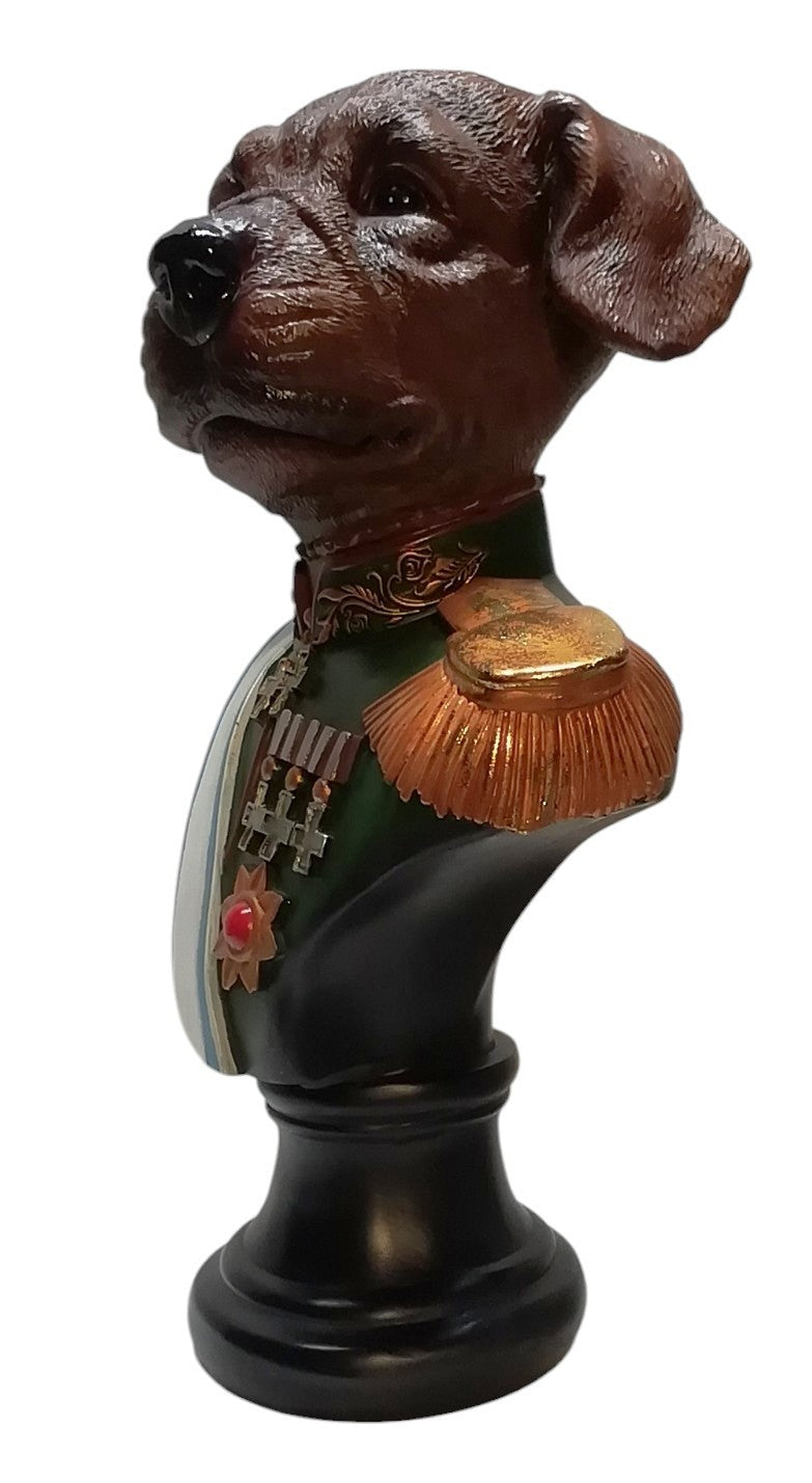 Boxer head Colonel - Cane Boxer di Colore Marrone con Medaglie e decorazioni Militari