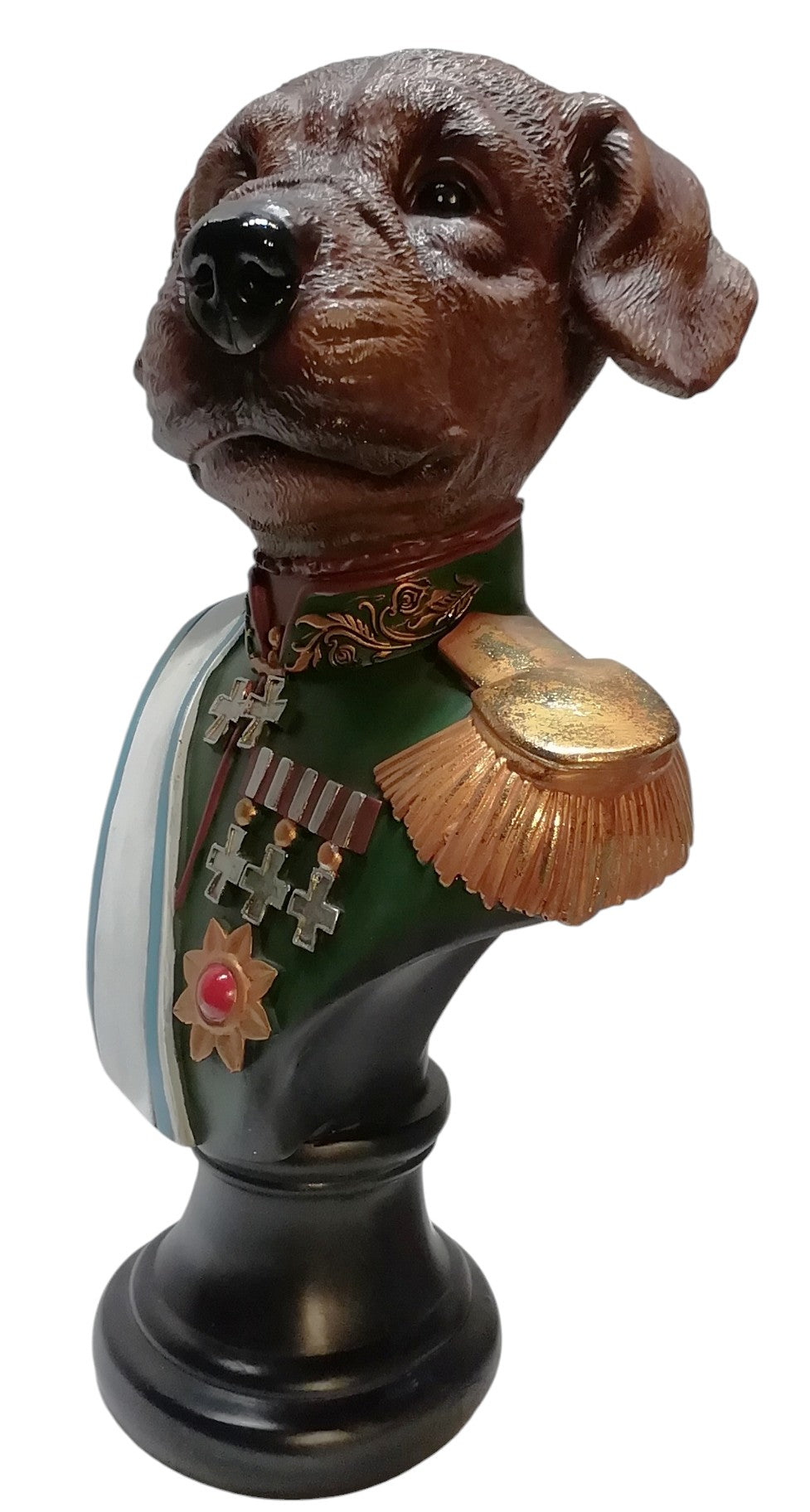 Boxer head Colonel - Cane Boxer di Colore Marrone con Medaglie e decorazioni Militari