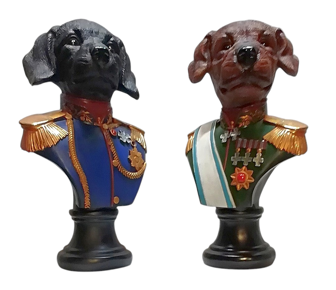 Labradorhead General - Cane Labrador Retriever Nero con Medaglie e decorazioni Militari