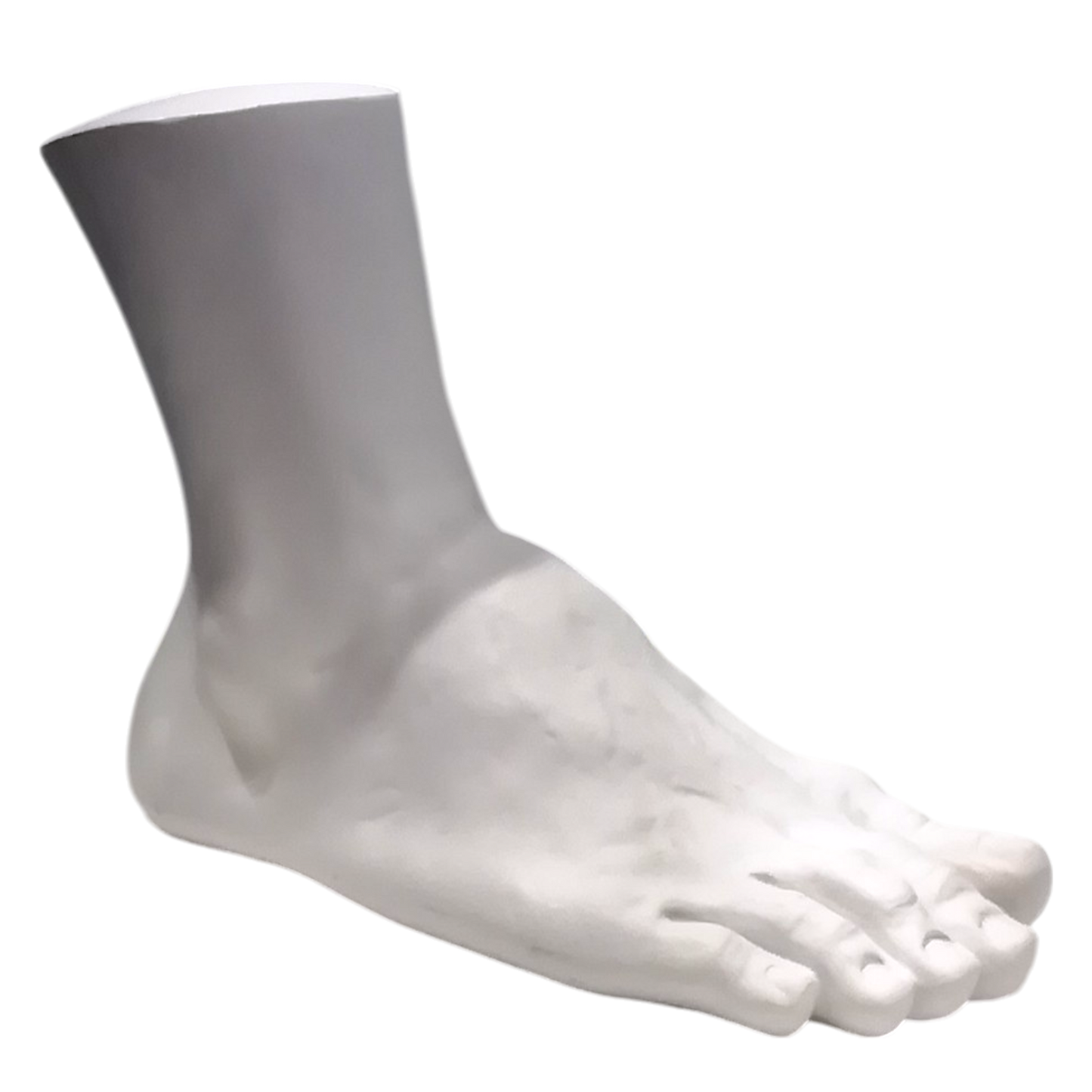 Scultura di piede destro, riproduzione del piede di Ercole. vista laterale