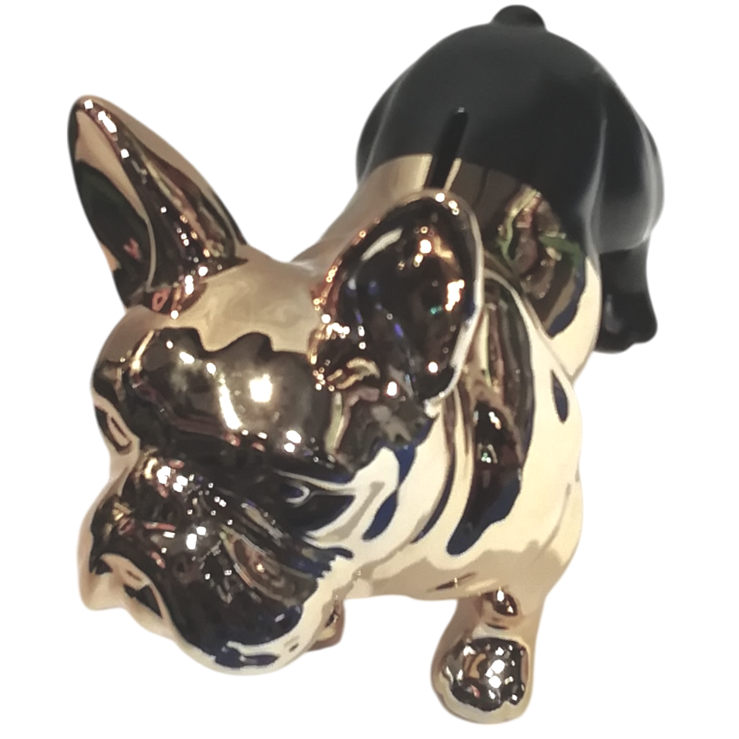 Cane Buldog fedele guardia per i vostri risparmi. Salvadanaio realizzato in Gres smaltato in oro e nero opaco. vista superiore