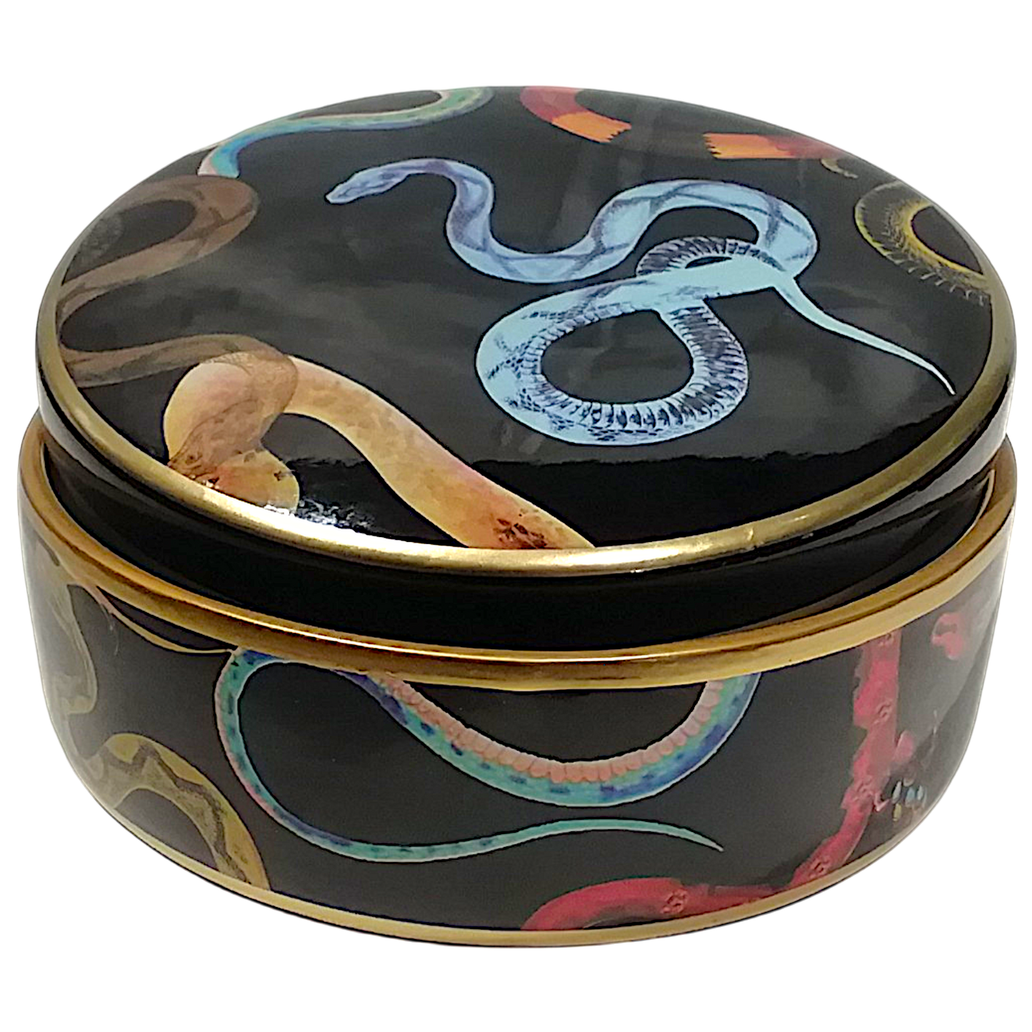 Scatola Portaoggetti Tonda in Ceramica Smaltata nera con figure di Serpenti e Oro