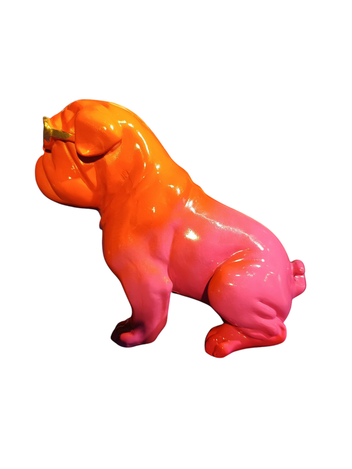 Bulldog sunglass