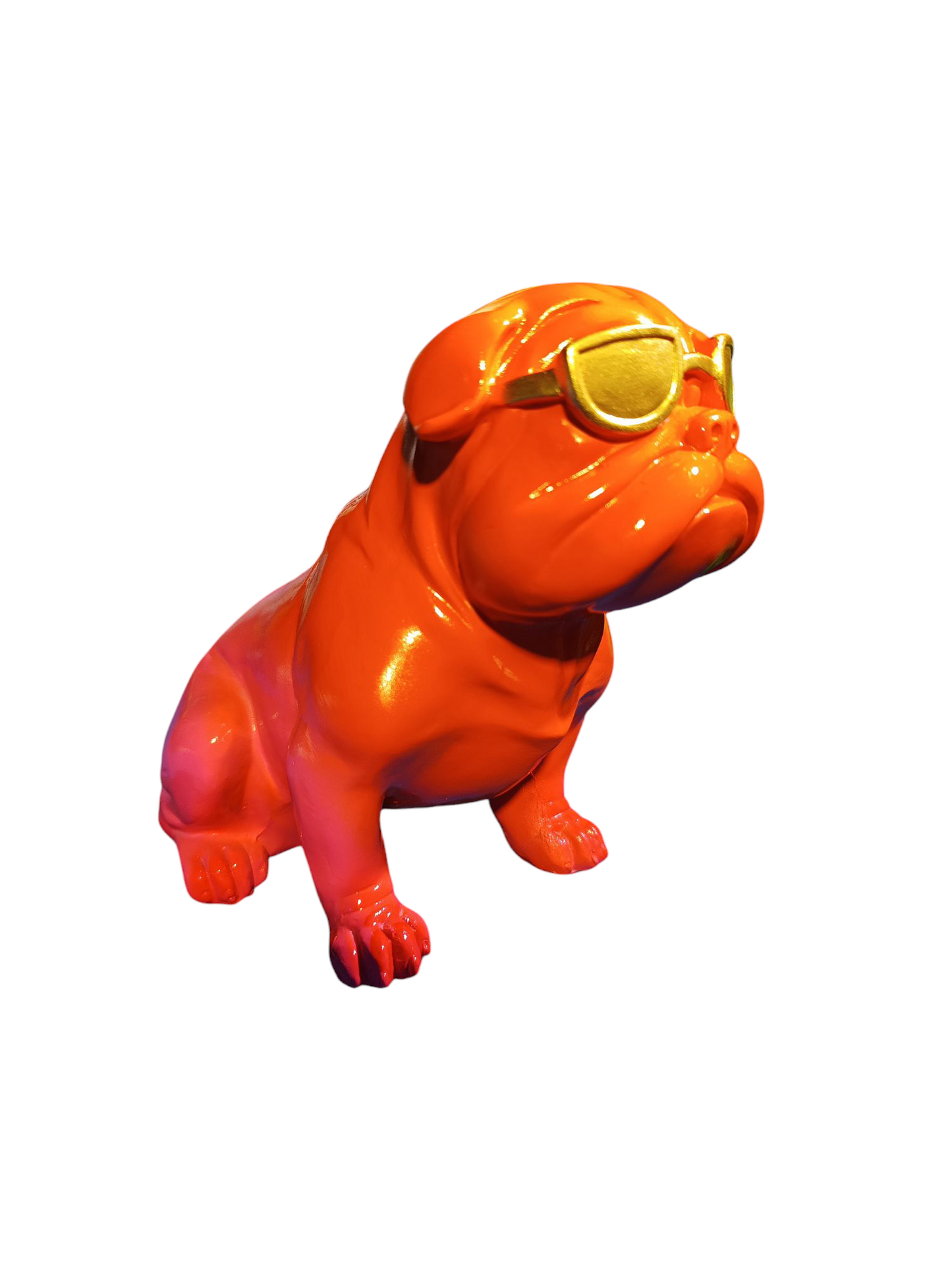 Bulldog sunglass