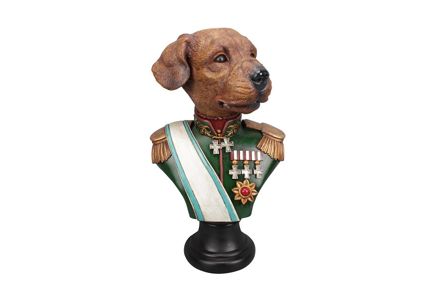 Boxer head Colonel - Cane Boxer di Colore Marrone con Medaglie e decorazioni Militari