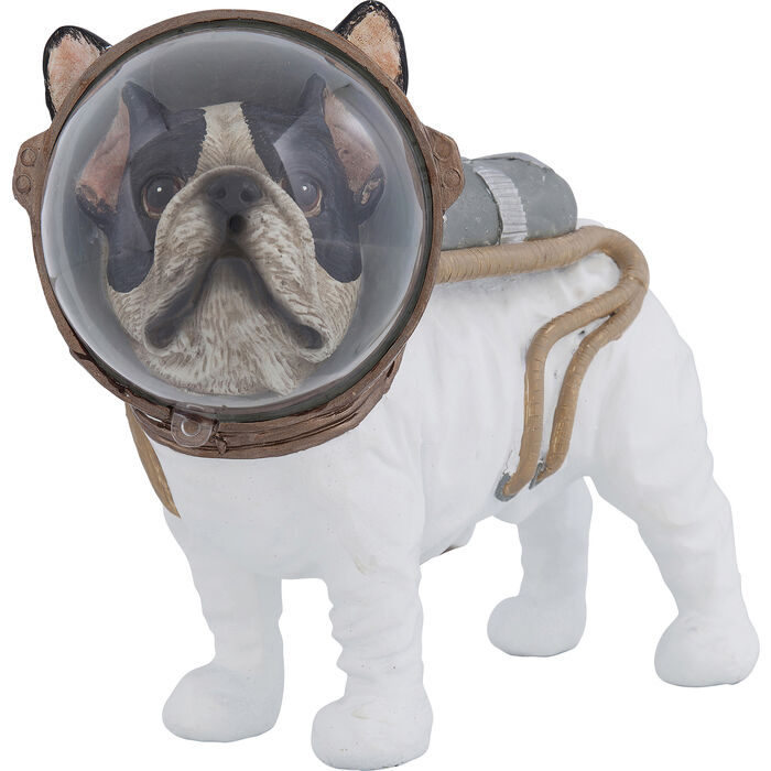Space Dog