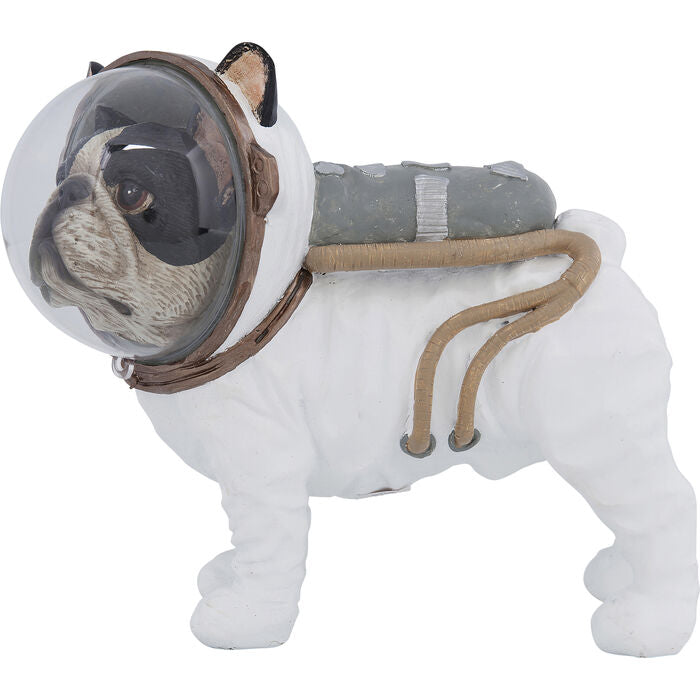 Space Dog