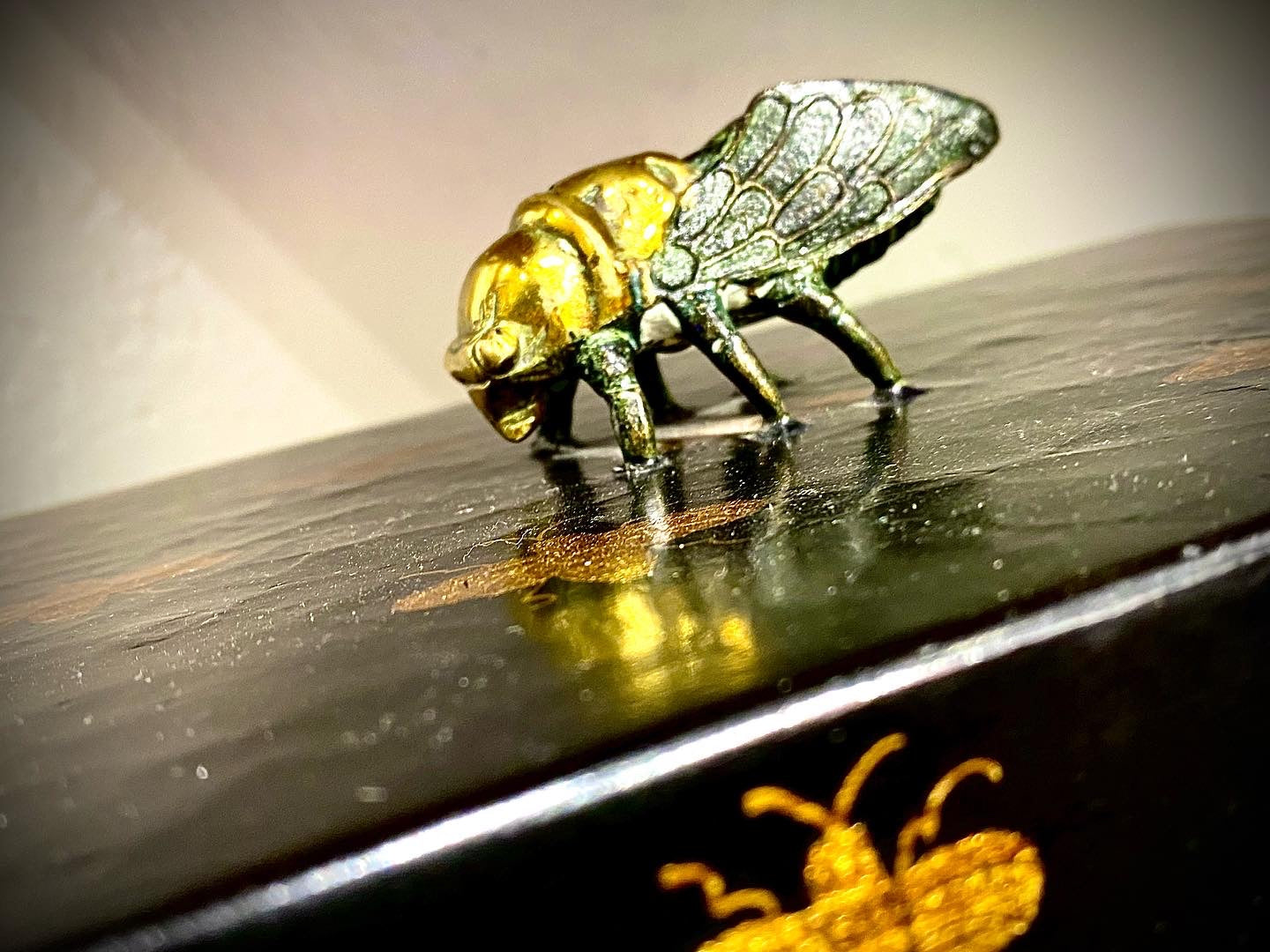 Scatola Krizia Bee